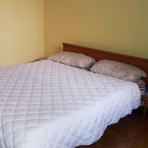 Flamingo House Casa vacanze